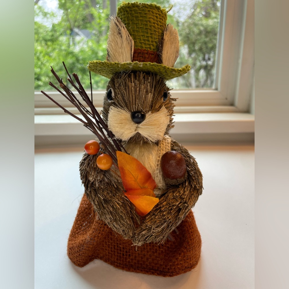 Sisal Thanksgiving squirrel.